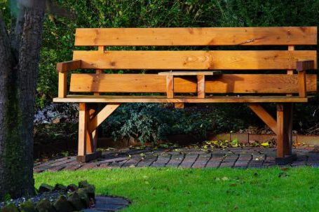 Backyard Landscape - Wooden Bench in Garden