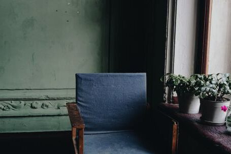 Furniture - Brown Wooden Framed Blue Fabric Armchair Beside Flowers in Pots on Window Sill during Day